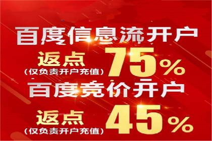 百度竞价SEM成功案例：揭秘广告投放秘诀