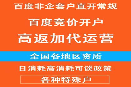 搜索引擎营销（SEM）竞价策略案例